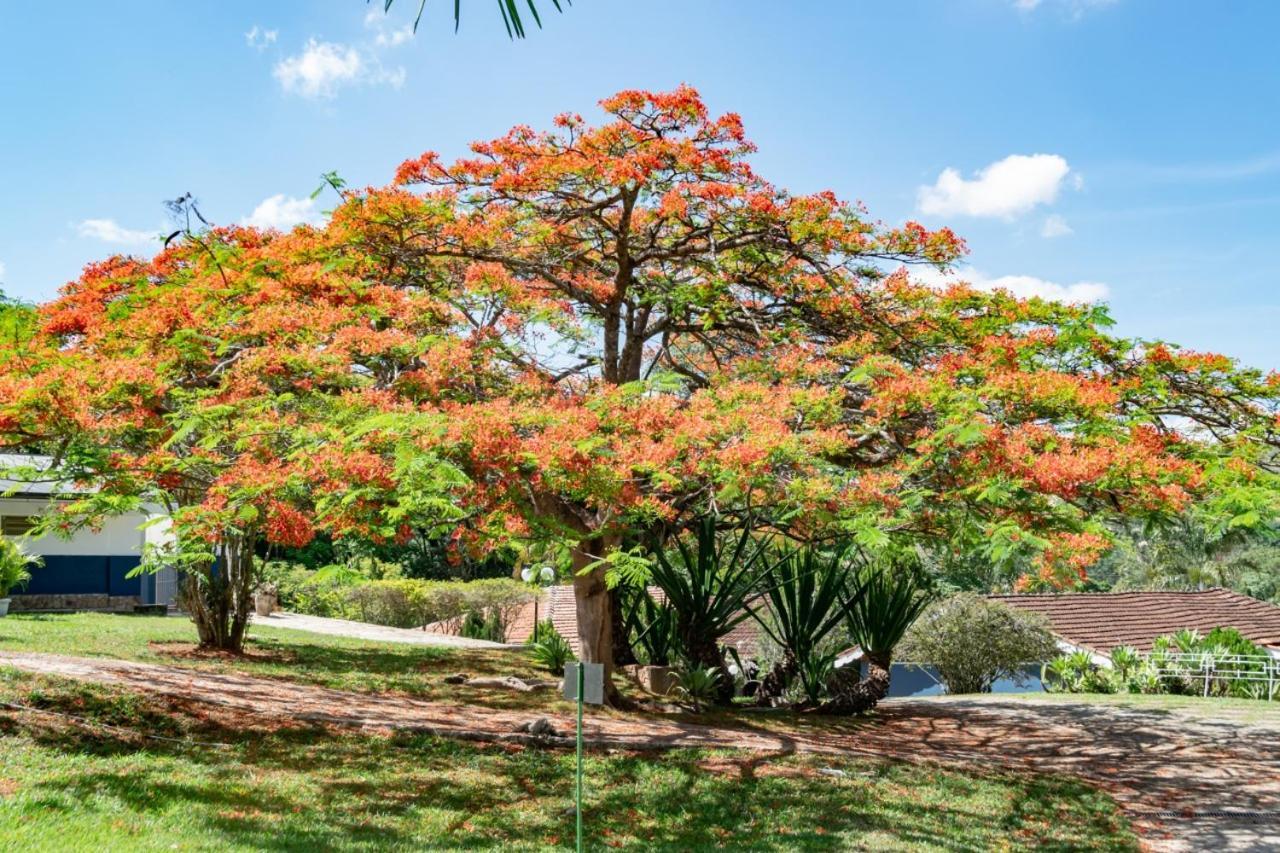 Villa Do Sossego Pousada Lindoia Luaran gambar